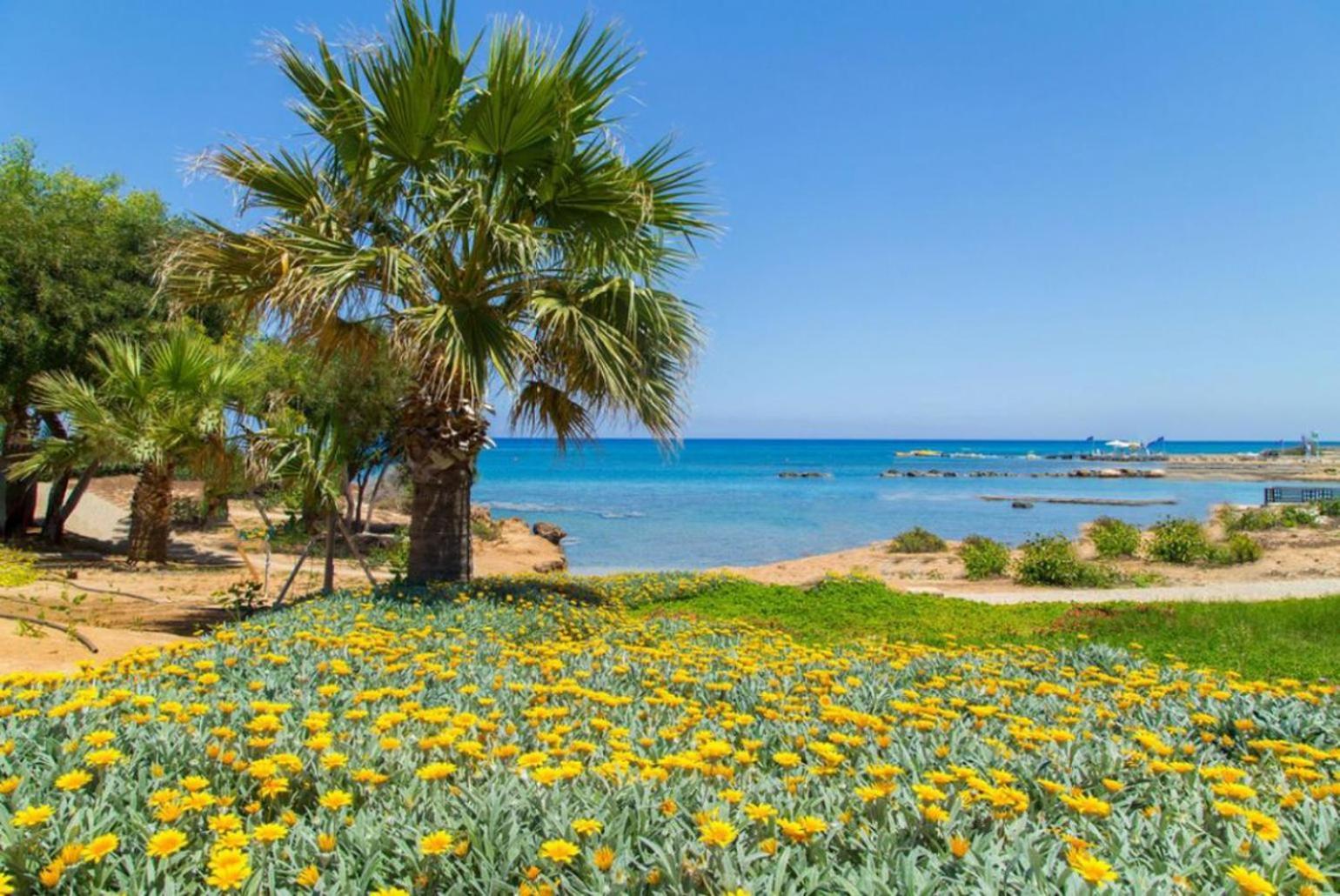 Villa Constantinos Kato Yialia Exterior foto